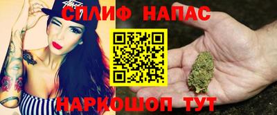 прущие грибы Ангарск