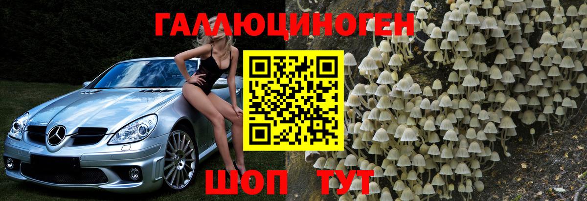 Псилоцибиновые грибы GOLDEN TEACHER Иваново