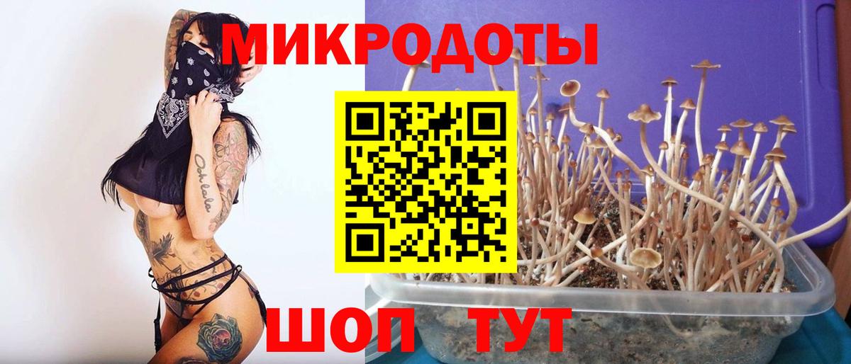 Псилоцибиновые грибы мухоморы  Вход с VPN  Иваново  Галлюциногенные грибы Magic Shrooms 